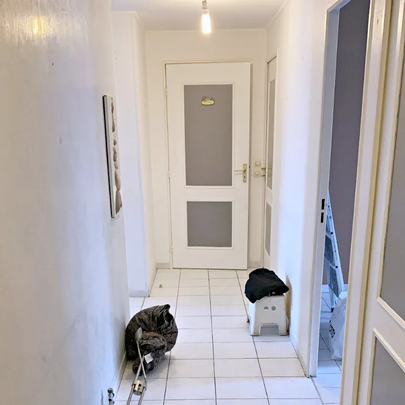 Rénovation d'appartement renovation appartement